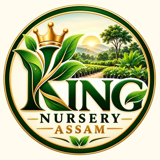 King Nursery Assam - Quality Plants, Healthy Future